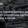 Эксперт спрогнозировал рост экспорта российских цветных металлов в Китай