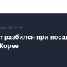 Самолет разбился при посадке в Южной Корее