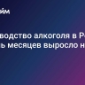 Производство алкоголя в России за семь месяцев выросло на 6,1%