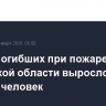 Число погибших при пожаре в Кировской области выросло до восьми человек