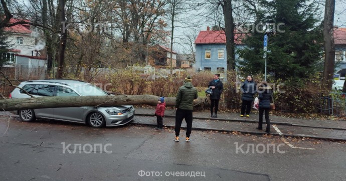 На Огарёва напротив детской поликлиники на машину упало дерево — очевидец (фото)