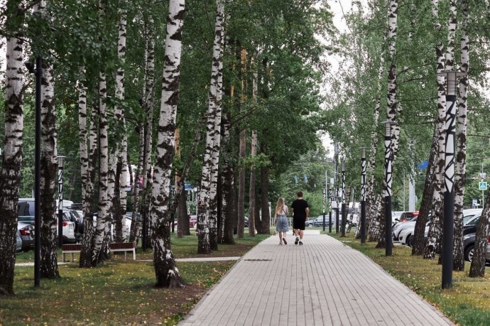 Жара до +33°C ожидает пензенцев в ближайшую среду