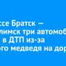 На трассе Братск — Усть-Илимск три автомобиля попали в ДТП из-за мертвого медведя на дороге