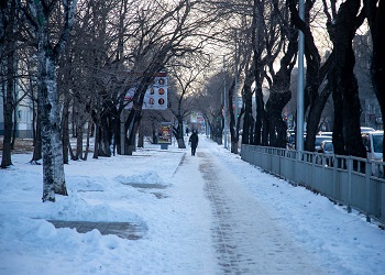 Снежный циклон в Приамурье станет рекордным