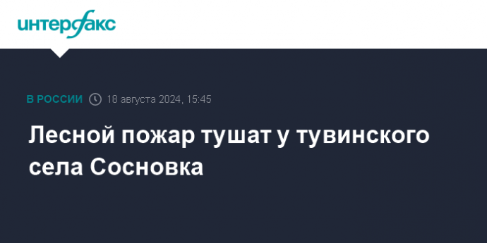 Лесной пожар тушат у тувинского села Сосновка