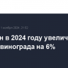 Дагестан в 2024 году увеличил урожай винограда на 6%