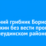 73-летний грибник Борис Ванюшкин без вести пропал в Нижнеудинском районе