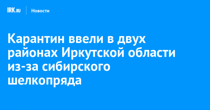 Карантин ввели в двух районах Иркутской области из-за сибирского шелкопряда