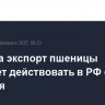 Квота на экспорт пшеницы начинает действовать в РФ с 15 февраля