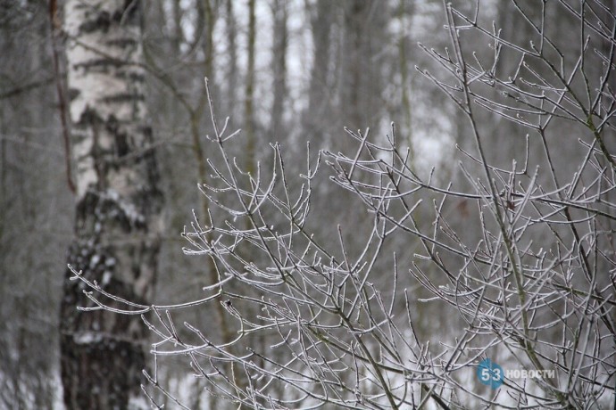 Новгородцам рассказали о погоде в последние субботу и воскресенье 2024 года