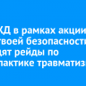 На ВСЖД в рамках акции «Путь твоей безопасности» проходят рейды по профилактике травматизма