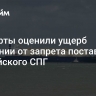 Эксперты оценили ущерб Германии от запрета поставок российского СПГ