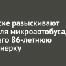 В Братске разыскивают водителя микроавтобуса, сбившего 86-летнюю пенсионерку