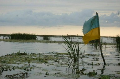 В Брянской области пресекли попытку прорыва госграницы