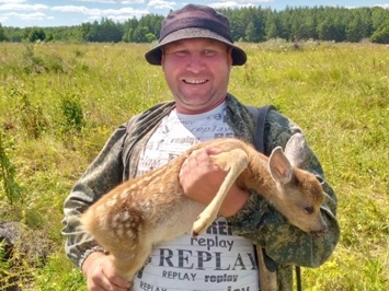 В Пензенской области спасли олененка, запутавшегося в кустарнике