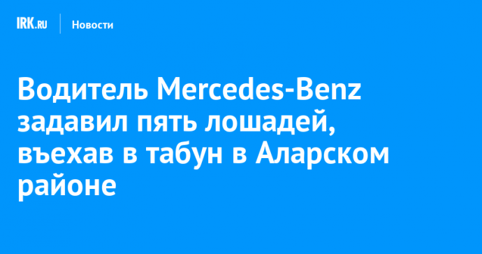 Водитель Mercedes-Benz задавил пять лошадей, въехав в табун в Аларском районе