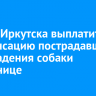 Мэрия Иркутска выплатит компенсацию пострадавшей от нападения собаки школьнице