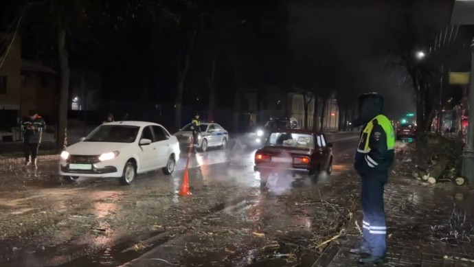 Упавшее дерево затруднило движение на одной из улиц Великого Новгорода