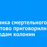 Виновника смертельного ДТП в Хомутово приговорили к двум годам колонии