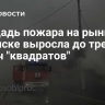 Площадь пожара на рынке в Ногинске выросла до трех тысяч "квадратов"