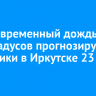 Кратковременный дождь и до +25 градусов прогнозируют синоптики в Иркутске 23 июля