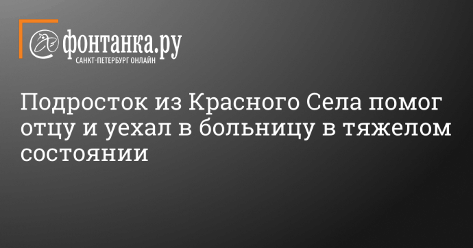 Подросток из Красного Села помог отцу и уехал в больницу в тяжелом состоянии