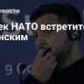 Генсек НАТО встретится с Зеленским