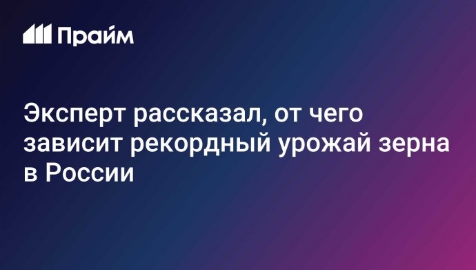 Эксперт рассказал, от чего зависит рекордный урожай зерна в России