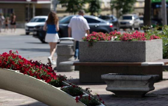 В жару курские подрядчики работают в усиленном режиме