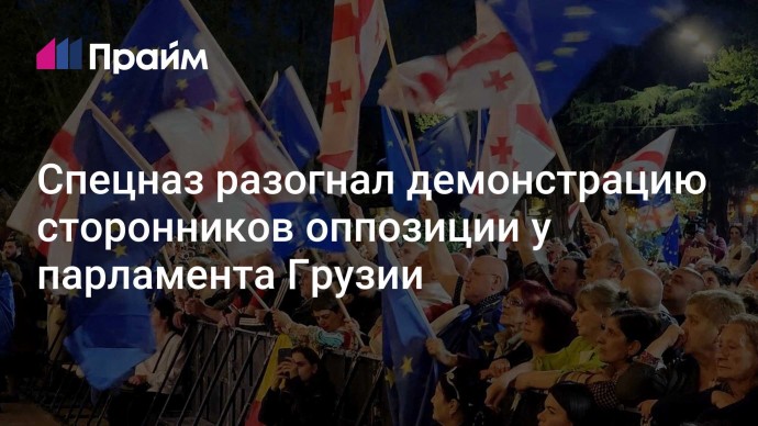 Спецназ разогнал демонстрацию сторонников оппозиции у парламента Грузии