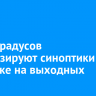 До -4 градусов прогнозируют синоптики в Иркутске на выходных