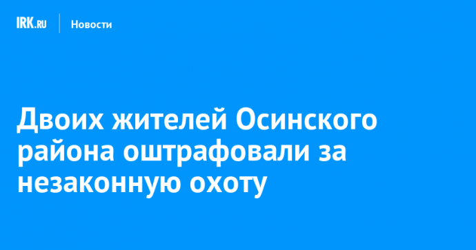 Двоих жителей Осинского района оштрафовали за незаконную охоту