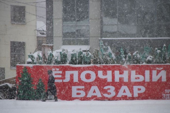 Стало известно, когда и где откроются ёлочные базары в Астрахани 