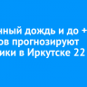 Умеренный дождь и до +22 градусов прогнозируют синоптики в Иркутске 22 июля