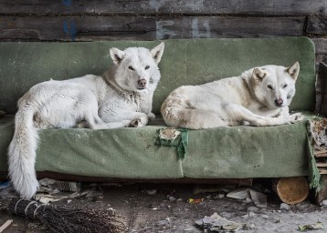 В «Росфото» покажут работы современных российских фотографов