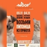 3 и 4 ноября в Москве пройдёт фестиваль WOOF в поддержку животных из приютов