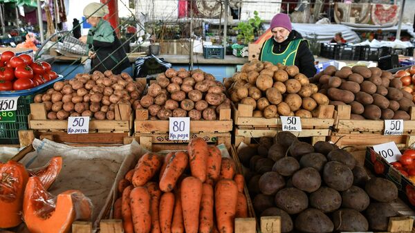 Россия в 2024 году почти втрое сократила экспорт некоторых продуктов в ЕС