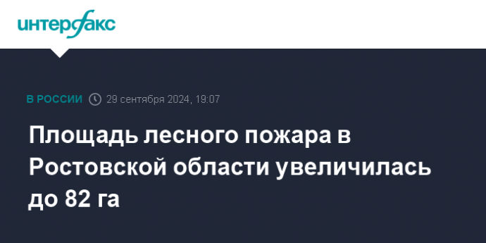 Площадь лесного пожара в Ростовской области увеличилась до 82 га