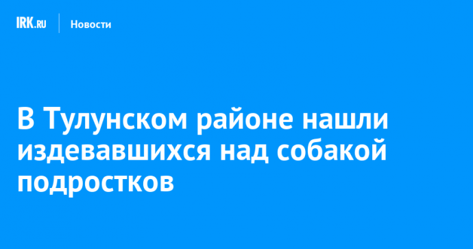 В Тулунском районе нашли издевавшихся над собакой подростков