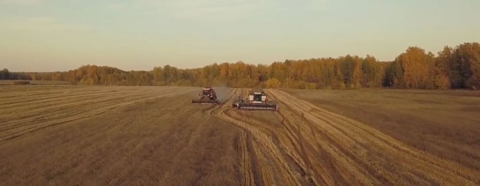 В подсобном хозяйстве Новосибирского зоопарка завершилась уборочная кампания