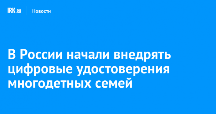 В России начали внедрять цифровые удостоверения многодетных семей