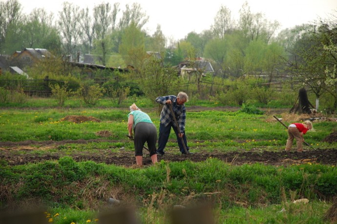 Не только посмотреть, но и купить: псковичей зовут на ярмарку