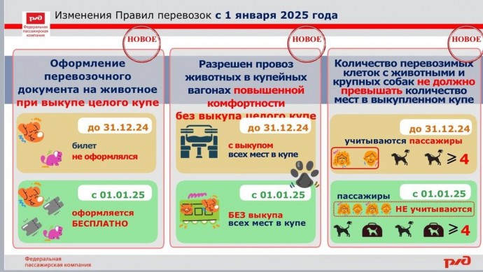 С 1 января в силу вступают новые правила перевозки питомцев в поездах