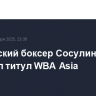 Российский боксер Сосулин защитил титул WBA Asia