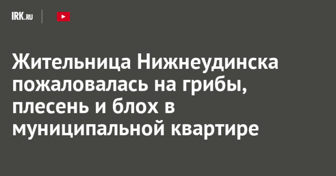 Жительница Нижнеудинска пожаловалась на грибы, плесень и блох в муниципальной квартире