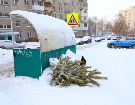 В Башкирии разрешат выбрасывать новогодние ёлки в мусорные баки