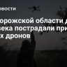 В Запорожской области два человека пострадали при атаках дронов