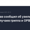 Минздрав сообщил об увеличении числа случаев гриппа и ОРВИ в России