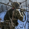 ВС России взяли под контроль ландшафтный парк в ДНР