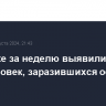 В Африке за неделю выявили почти 4 тыс. человек, заразившихся оспой обезьян